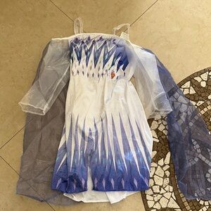 Frozen 2 Elsa dress